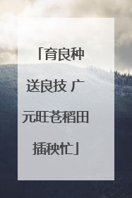 育良种 送良技 广元旺苍稻田插秧忙